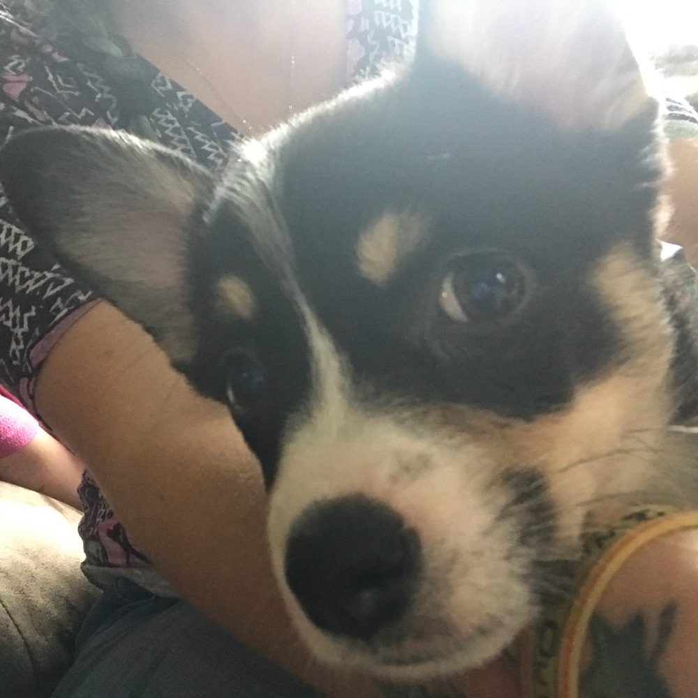 Meet your Posher, Carole